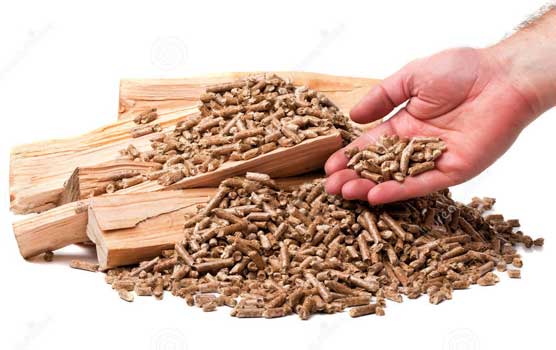 Viên nén gỗ - Công Ty Cổ Phần Chế Biến Và Xuất Nhập Khẩu Lâm Sản Lương Sơn